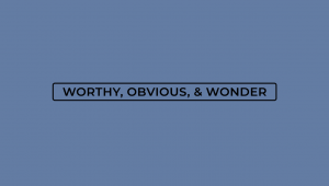 W.O.W. (Worthy, Obvious & Wonder)