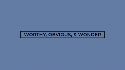 W.O.W. (Worthy, Obvious & Wonder)