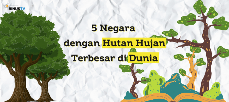 5 Negara dengan Hutan Hujan Terbesar di Dunia